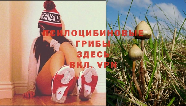 спиды Пролетарск