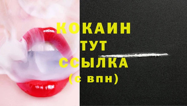соль ск Протвино