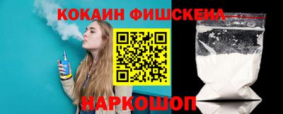 индика Гатчина