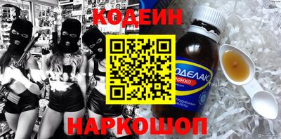 индика Гатчина