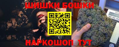индика Гатчина