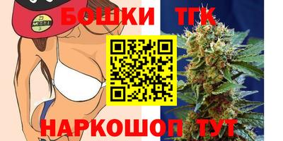 МДПВ Абакан