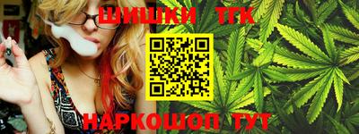 индика Гатчина