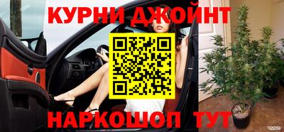 ГАЛЛЮЦИНОГЕННЫЕ ГРИБЫ Гай