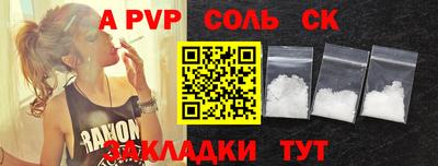 индика Гатчина