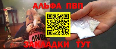 индика Гатчина