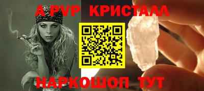 индика Гатчина