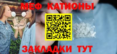 индика Гатчина