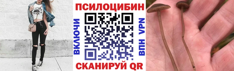 Галлюциногенные грибы MAGIC MUSHROOMS  Апатиты 