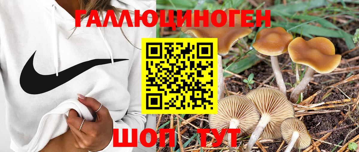 Галлюциногенные грибы мухоморы  Вход с VPN  Псилоцибиновые грибы мухоморы  Апатиты 