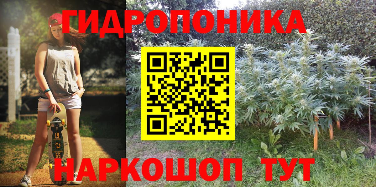Конопля MAZAR Апатиты